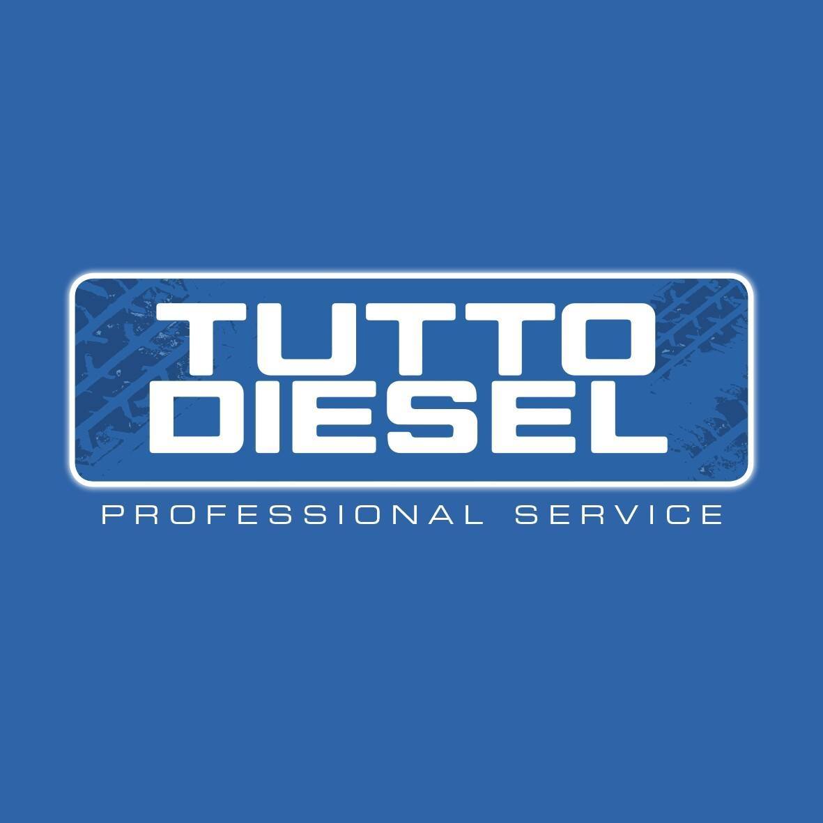 TUTTODIESEL SRL 