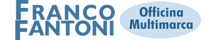 FANTONI SERVICE SAS