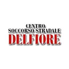 CENTRO SOCCORSO STRADALE DI MICHELE DELFIORE & C.SAS
