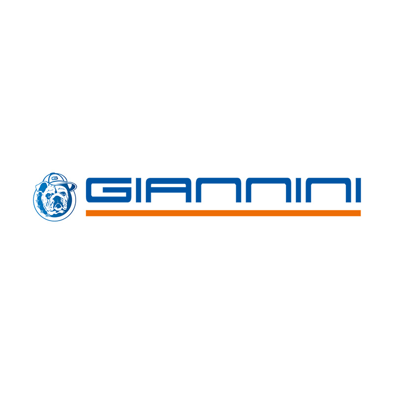 Auto Giannini Srl